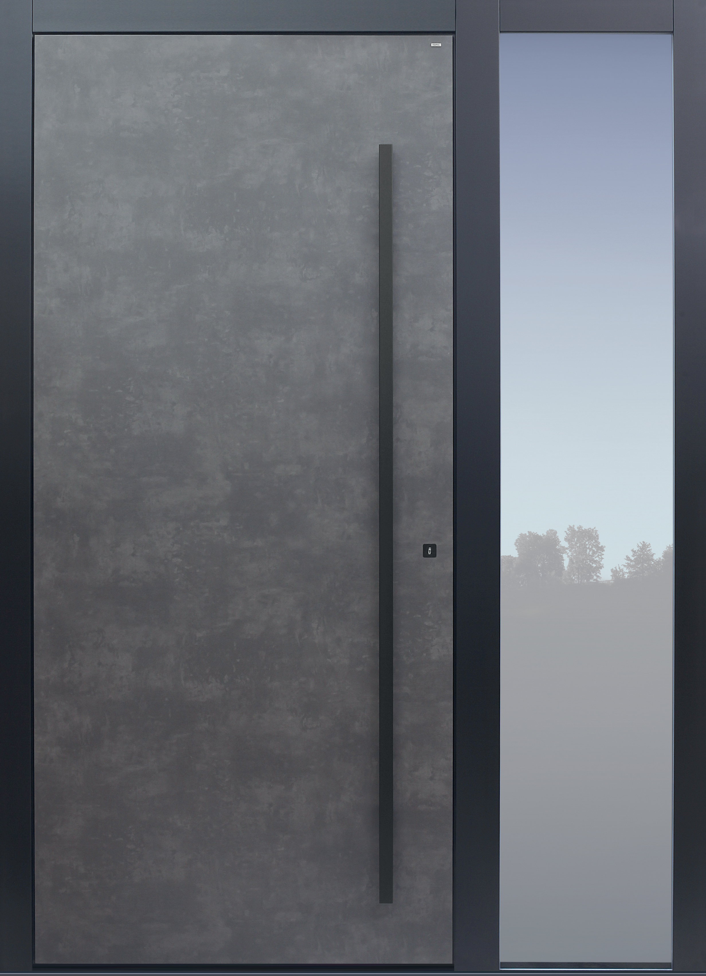 Haustür Prado Agate Grey mit Seitenteil T mit Stoßgriff schwarz Modell B9 Haustür Prado Agate Grey mit Seitenteil T mit Stoßgriff schwarz Modell B9
