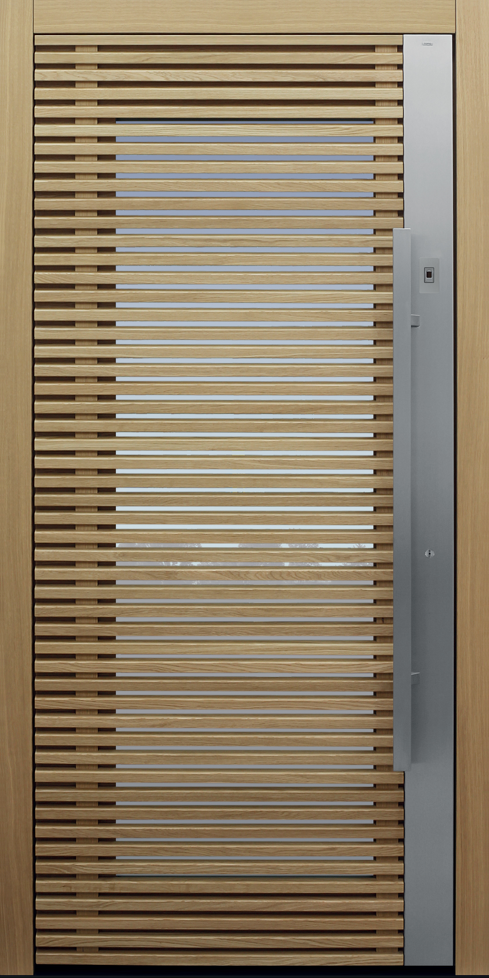 Haustür braun mit Fingerprint Modell Daylight Haustür braun mit Fingerprint Modell Daylight