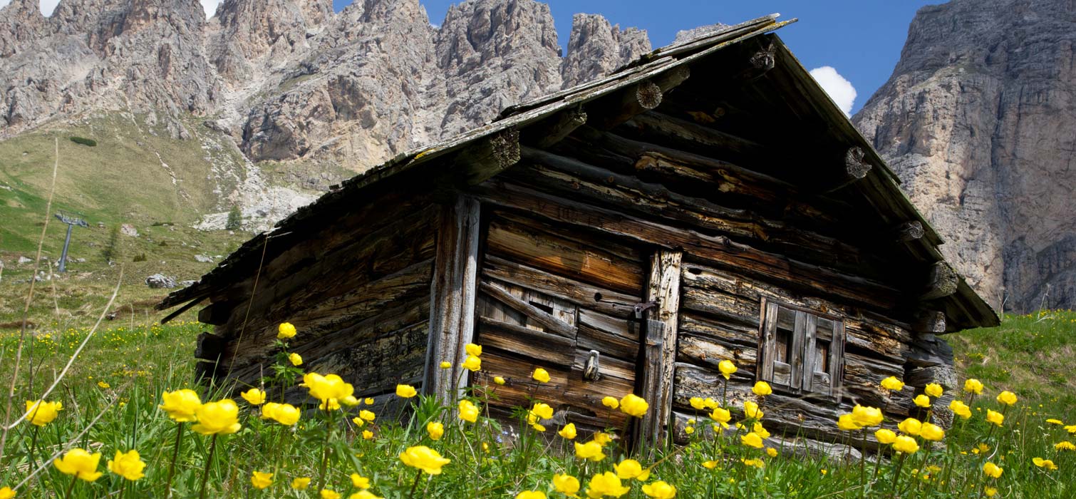 Haustüren mit Holzpberfläche