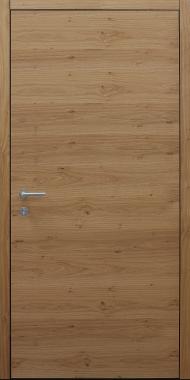 Haustür braun Innenansicht Modell B9
