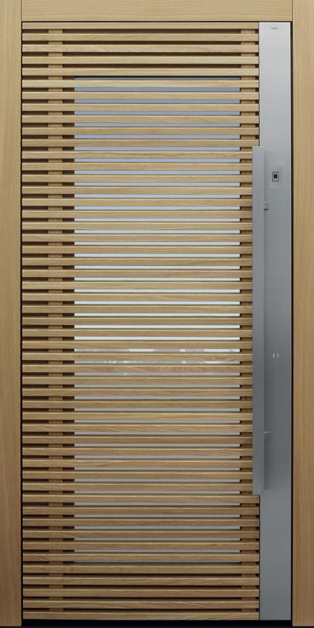 Haustür braun mit Fingerprint Modell Daylight